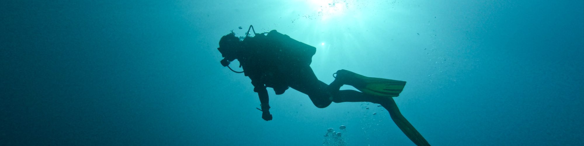 Agence de voyages nature - Wild Seas Explorer propose des voyages naturalistes  qui ont du sens - Voyage naturaliste - Entre mer et ciel à Ténérife - Copyright Florian Legrand
