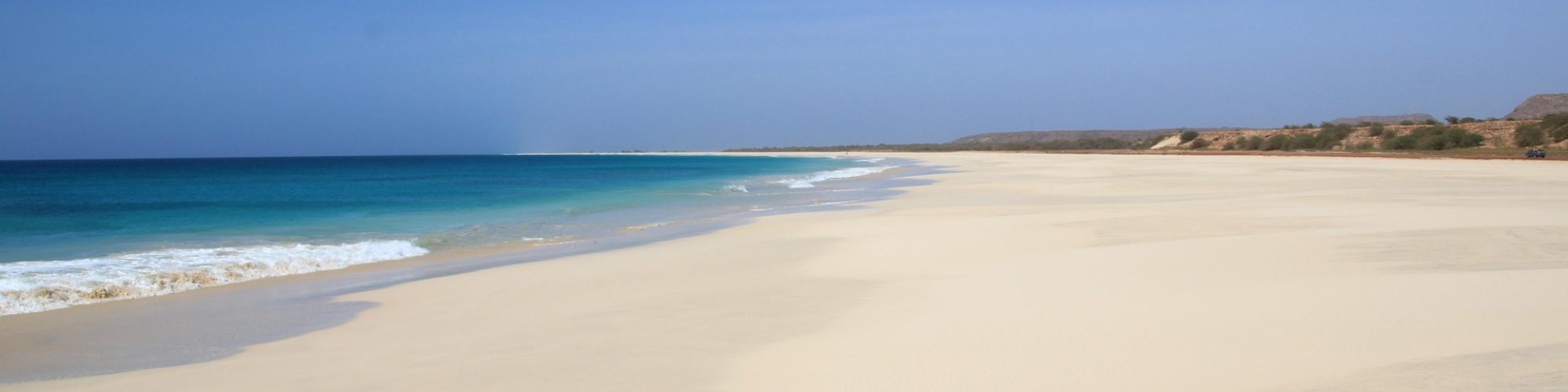cap vert - excursion scientifique à la voile - cétacés et baleines à bosse du cap vert