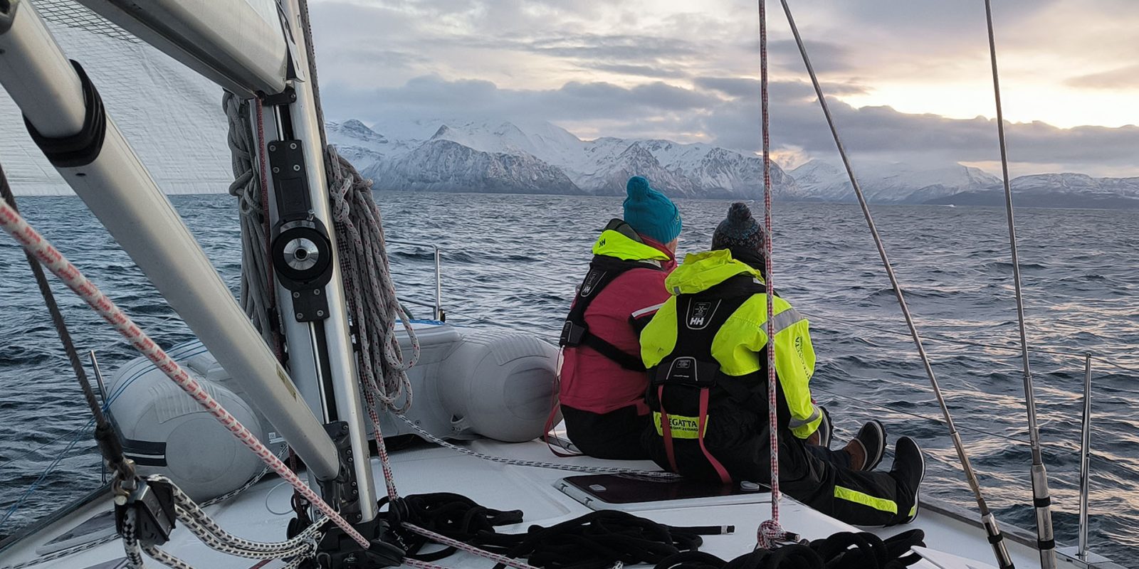 observer les cétacés en Norvège arctique - Immersion scientifique en voilier