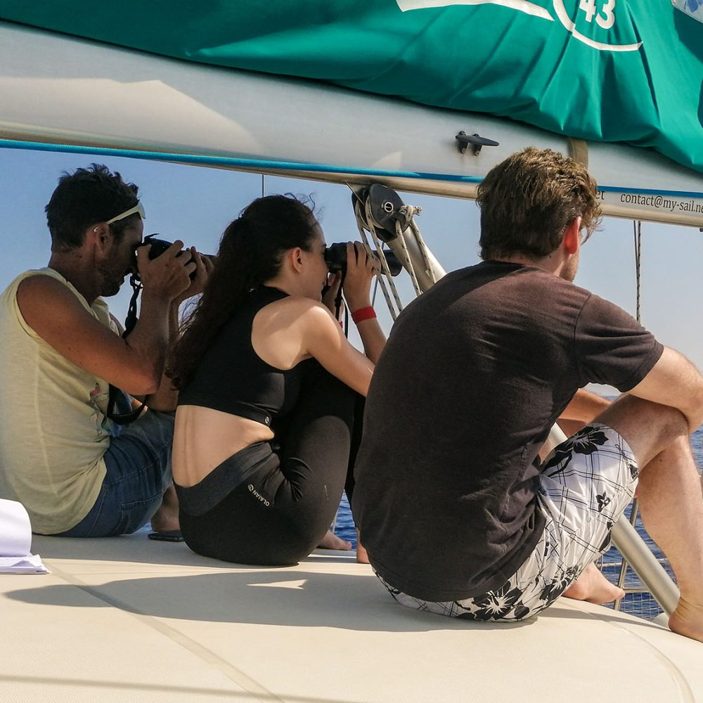 voyage scientifique cetaces de mediterranee 45